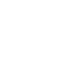 Business Model Canvas